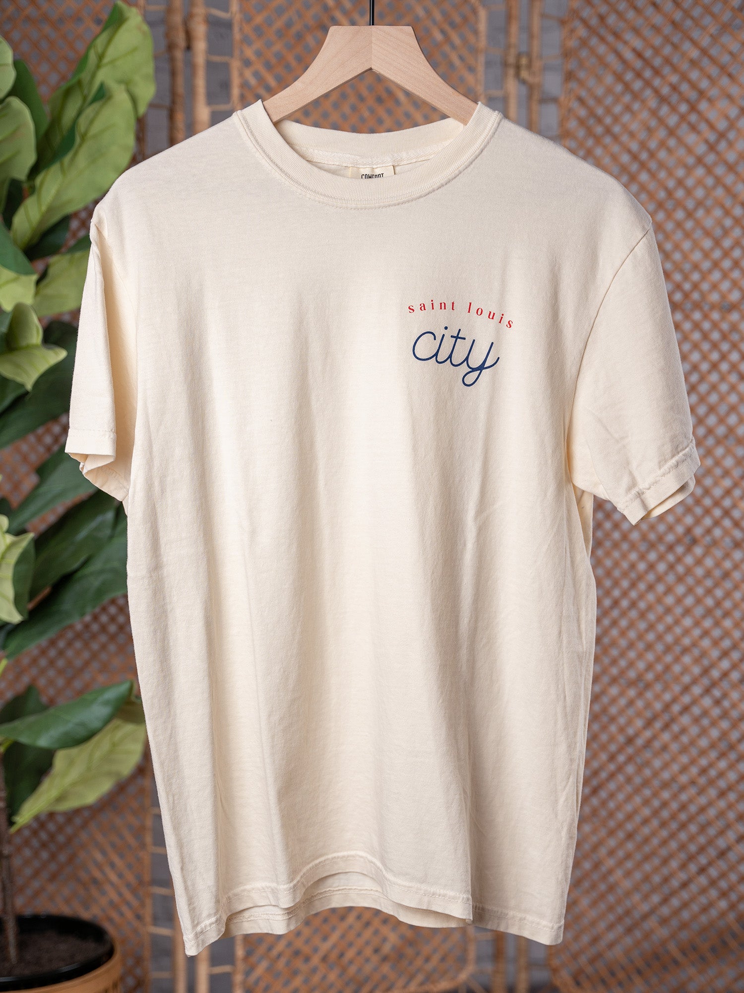 St. Louis City Screen Printed T-Shirt Large / Unisex - Full Length